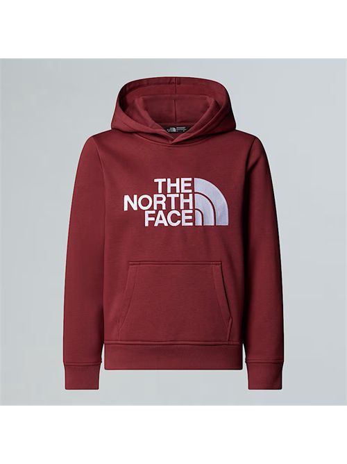  THE NORTH FACE | NF0A8EHH/0VO1